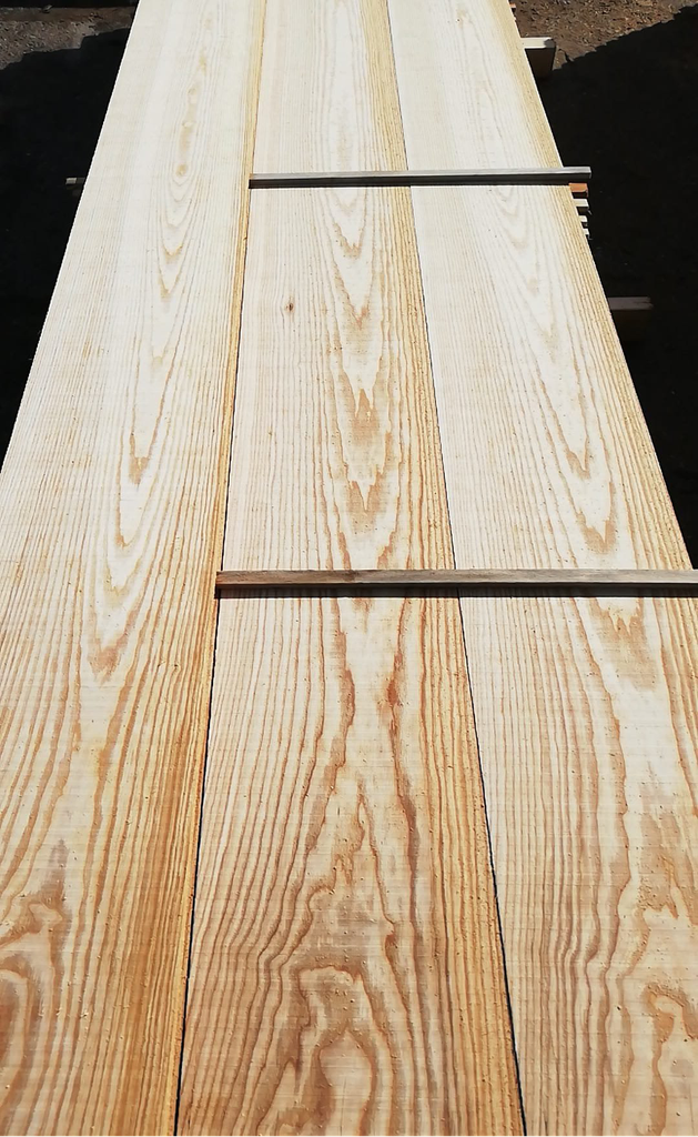 Ash Lumber AA - Edged (15x100upx2000up)