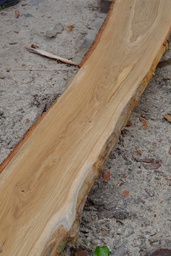 [Oak Lum Und 25x200upx5000up AB 20%] Oak Lumber AB - Unedged (25x200upx5000up)